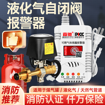 Liquefied Gas Self-Closed Valve Alarm Gas Cut Off Valve Catering Hotel Commercial Gas Leak Automatic Alarm Device
