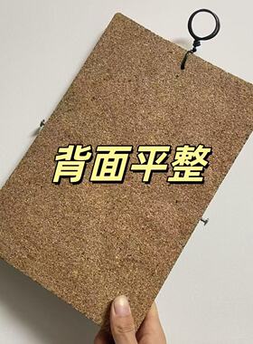 天然树皮鹿角蕨挂板软木树皮