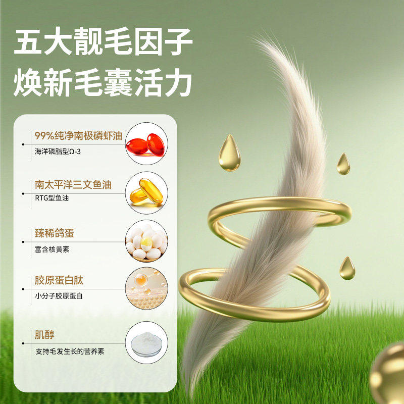 喜喵喵白金烘焙猫粮鲜肉乳化全阶段成幼猫增肥发腮营养全价粮官方,淘宝优惠券,粉丝福利购,淘宝优惠卷