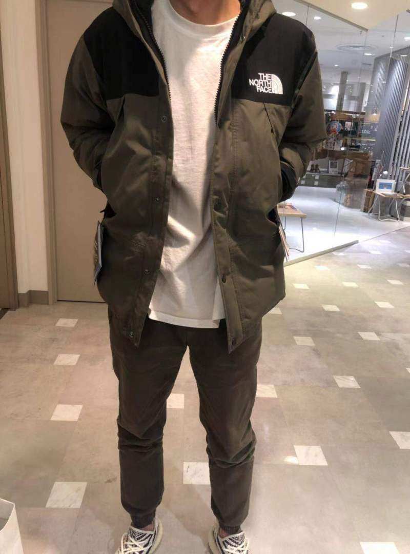 north face mountain down