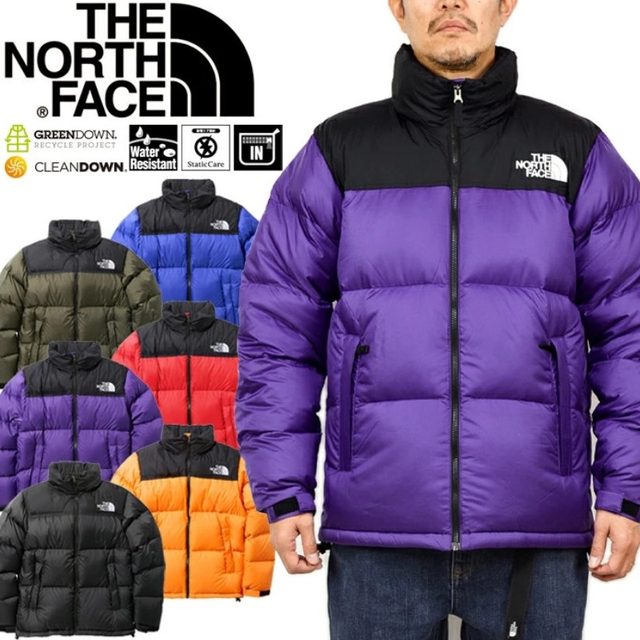 the north face nd91841