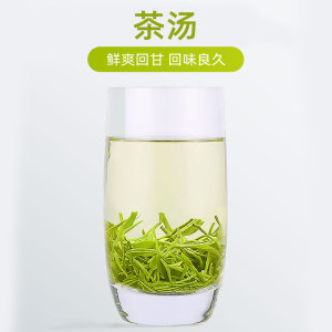 2024新茶湘丰茶叶湖南绿茶绿茶毛尖茶明前炒青绿茶金井茗茶100g