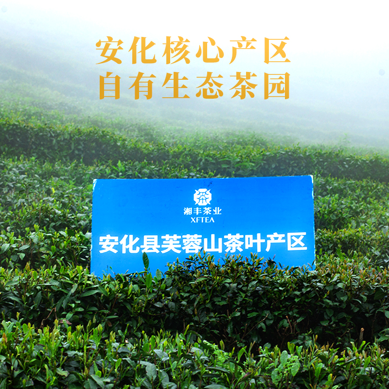 琥珀金福湘丰茶叶黑茶湖南安化金花茯砖茶安化黑茶礼盒正宗 - 图3