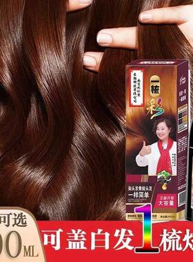 韩国进口一梳黑白流流行色发易梳黑自己在家染色膏一京梳彩盖染
