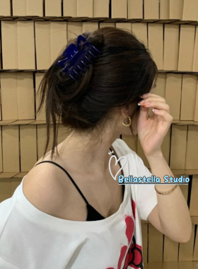 老友记瑞秋同款宝石蓝双齿抓夹女高级感后脑勺盘发鲨鱼夹百搭头饰