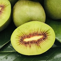 Sichuans Home Orchard Now Picking Red Hearts Chic Exotic Fruits Fresh Fruit Pregnant Women Children Should Season Fruit Peach