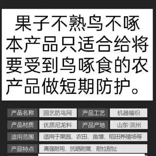 户外防鸟网果园菜园专用网神器稻谷果树围栏鱼塘养殖大棚防护用网 - 图3