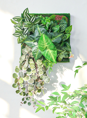 绿植无框立体壁挂北欧客厅植物墙餐厅绿植背景墙壁装饰挂件简约