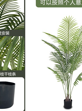 仿真绿植感散尾葵植物盆栽家居客厅装饰摆件落地室内假树绿植