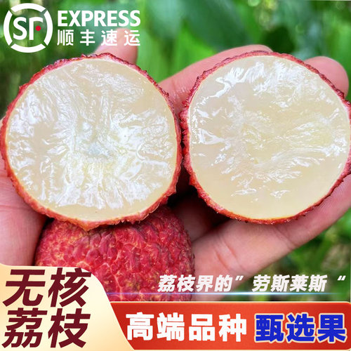 正宗无核荔枝5斤新鲜现摘现发当季水果顺丰空运包邮 - 图0