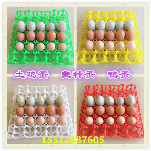 塑料鸡蛋托蛋拖30枚鸡蛋托盘防碎防摔装蛋盒运输专用鸡蛋架鸭蛋盘-图0