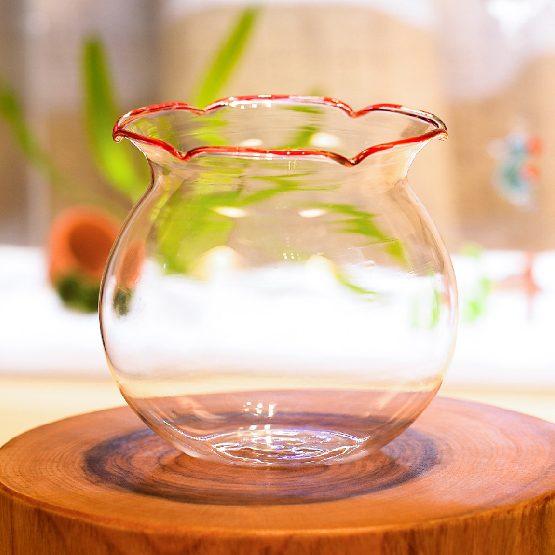 微景观生态瓶创意办公桌面小鱼缸DIY玻璃造景养生态网红礼物包邮,淘宝优惠券,粉丝福利购,淘宝优惠卷