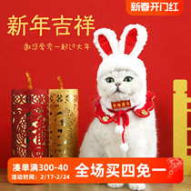 Kitty Puppy New Year cute rabbit ears Body Headgear Carrots Flowers Plush Hat Knit Wool