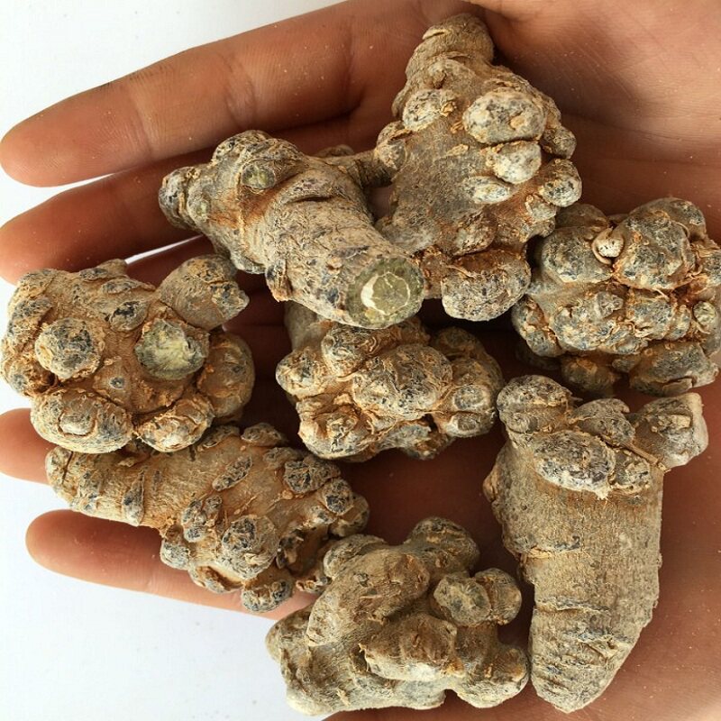 三七粉批发