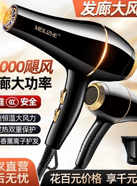 正品发廊专用家用吹风机电吹风大功率理发店速干冷热风蓝光负离子