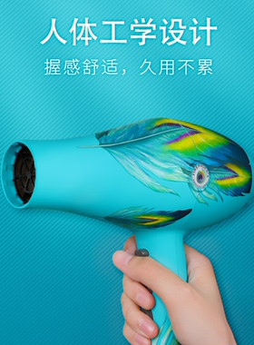 发廊专业火之凤大功率家用吹风机