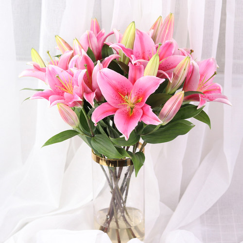 鲜百合花真花家用黄天霸百合鲜花水养香水花卉市场斗南基地直发 - 图0