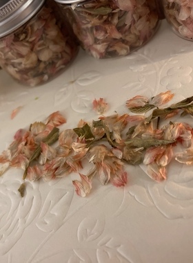 花瓣干花素色手帐素材