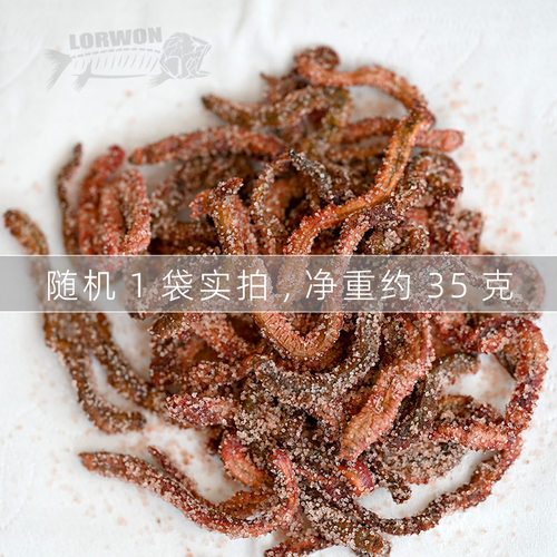 干沙蚕腌沙蚕宠物鱼海鱼饵速干沙虫海钓海蚯蚓海蜈蚣便携易储梭鱼 - 图1
