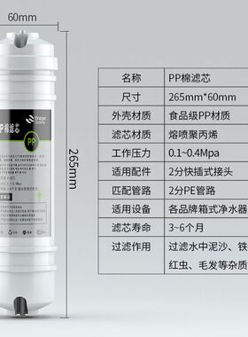 制冰机过滤器滤芯KTV水吧台2分PE管咖啡机果汁机开水机通用净水器