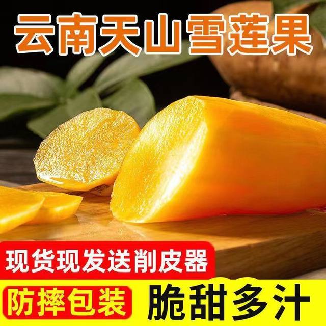 Now digging Yunnan Tianshan Snow Lotus Fruit Fruit Fresh in Season