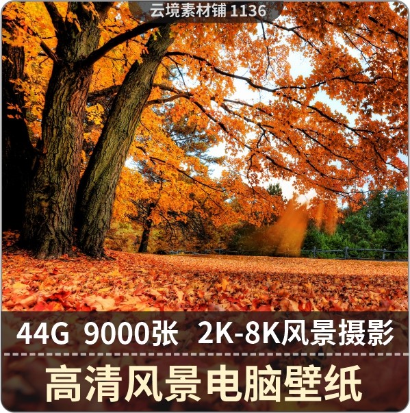 壁纸8k 新人首单立减十元 21年12月 淘宝海外