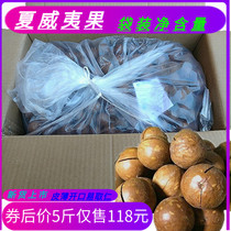 New Cargo Hawaiian Fruits Cream Taste Loose says Australian summer fruit 5 catty 10 catty of bulk nut delivery opener