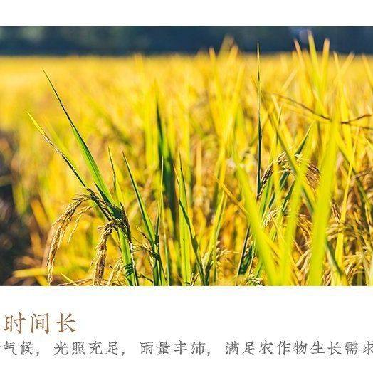 广东增城特产丽之乡丝苗细米粉美味炒米粉米线速食粉丝广州米粉,淘宝优惠券,粉丝福利购,淘宝优惠卷