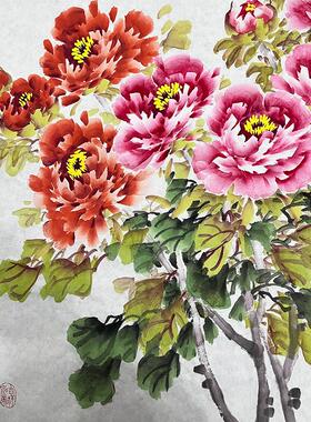 手绘牡丹花花开富贵斗方国画