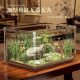 Transparent acrylic anti-fall desktop base cabinet fish tank