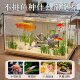 Transparent acrylic anti-fall desktop base cabinet fish tank