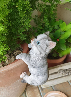 佳鲤推荐庭院花园花盆鱼缸可爱猫咪创意背包小装饰品树脂摆件盆挂