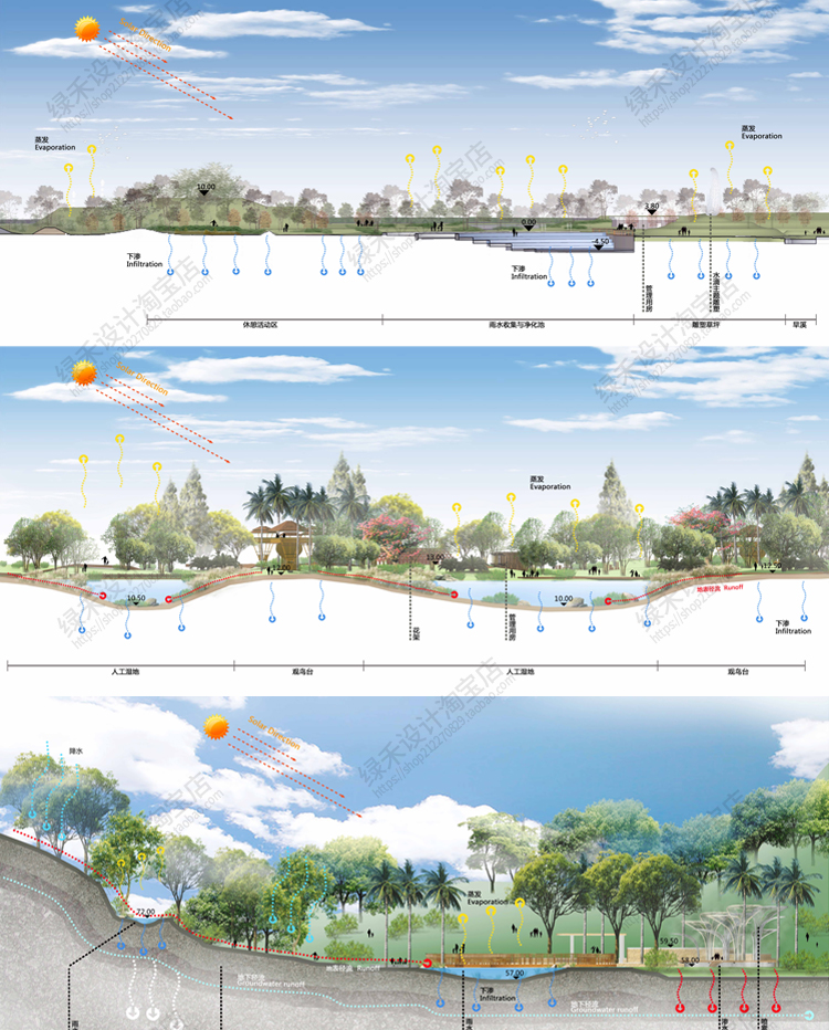 竞赛风建筑景观断面图海绵城市湿地剖面图立面树木分析图psd素材 - 图2