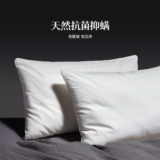 Jiejiegao Class A Silk Pillow 100 Mulberry Silk Pillow Core