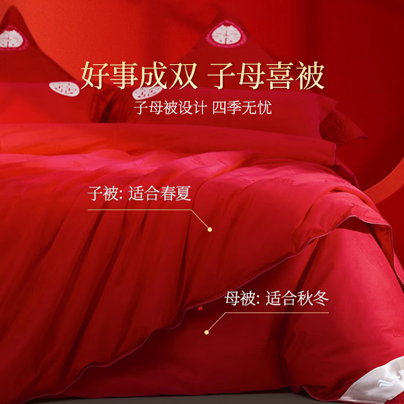 镇店之宝结婚2+4斤100%桑蚕丝被 邵氏家纺蚕丝被