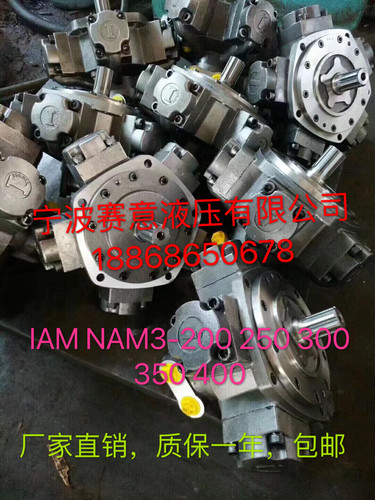 注塑机溶胶液压五星马达 YLM NAM IAM NHM3-250 - 图0