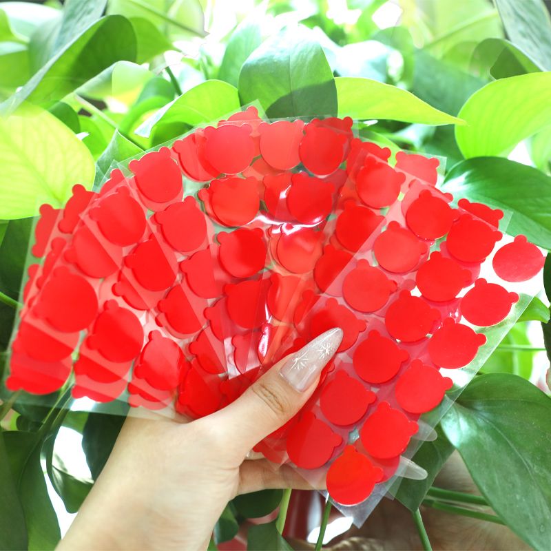 双面脚贴无痕娃娃胶点贴适用泡泡玛特收纳展示车载摆件手办不倒胶_婵翼云纱_文具电教/文化用品/商务用品-第4张图片-提都小院