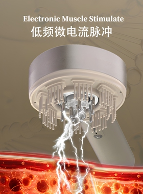 【日本贵妇级生发育发按摩梳】