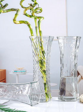 玻璃花瓶富贵竹花瓶透明简约插花瓶大号水培花器家居桌面摆件