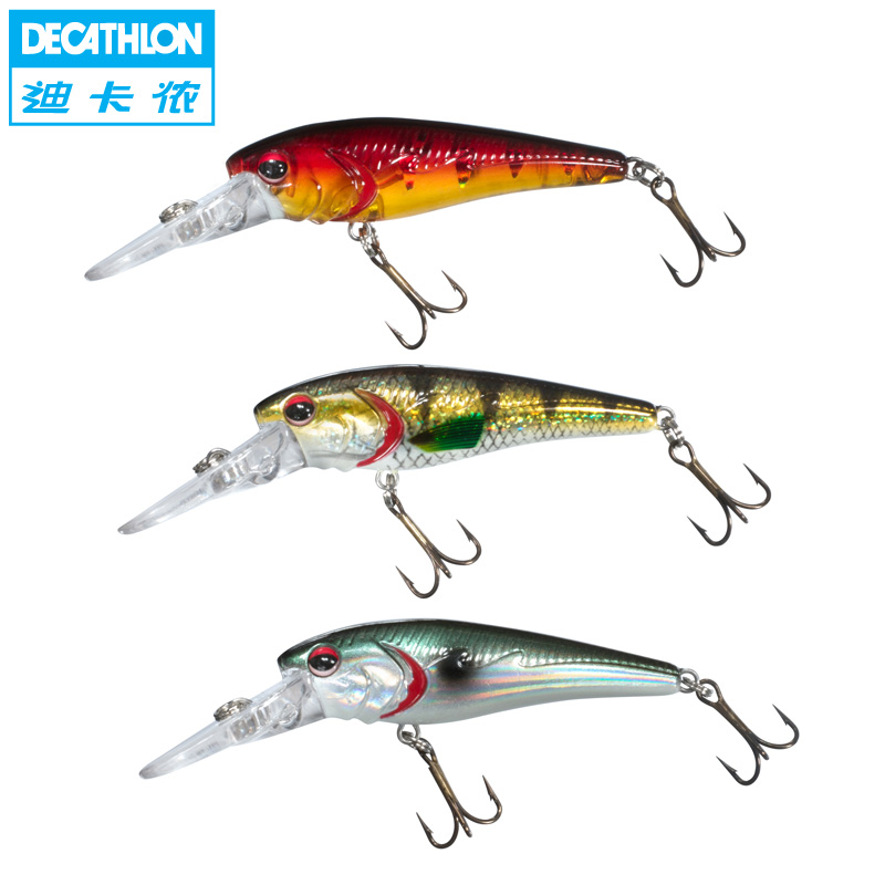 black minnow decathlon