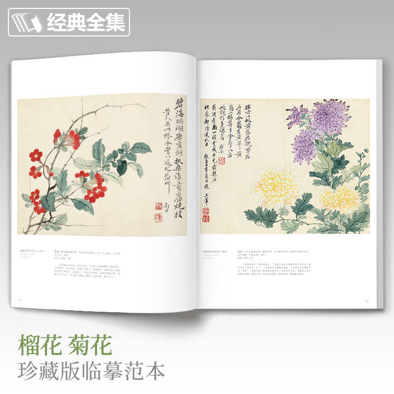 恽寿平画集 8开中国画临摹画册书籍写意水墨国画山水花卉花鸟技法教材高清临本册页百花图卷名作赏析鉴赏收藏杨建飞主编-图1