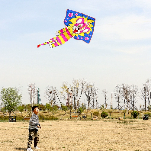 Weifang Hengjiang Kite Little Lion Kids Kids Cartoon Kite Yifei Ранние ученые маленькие детские линии полеты