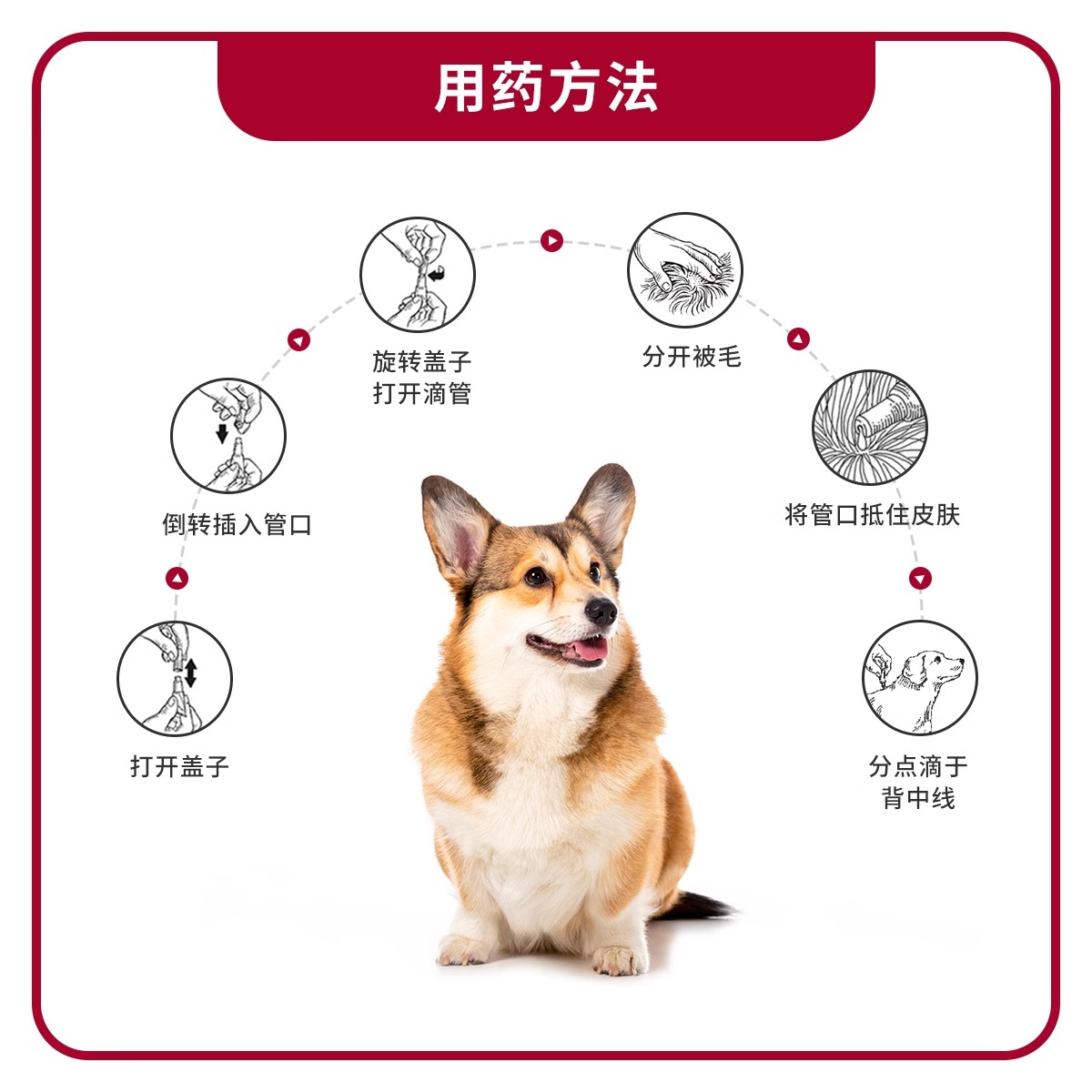 拜宠爽体外驱虫药滴剂狗用中小型犬除跳蚤去蜱虫虱子驱蚊4支 - 图2