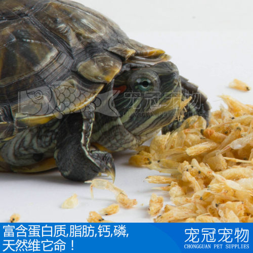 寸金虾干 寸金龟龟粮龟粮 乌龟饲料鳄龟巴西龟水龟乌龟粮补钙龟食 - 图3