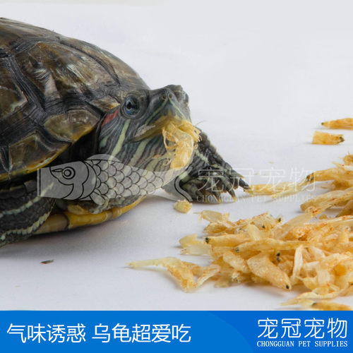 寸金虾干 寸金龟龟粮龟粮 乌龟饲料鳄龟巴西龟水龟乌龟粮补钙龟食 - 图1