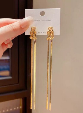 欧美跨境长款蛇骨链长款流苏耳环女轻奢高级感复古高级感耳坠耳饰