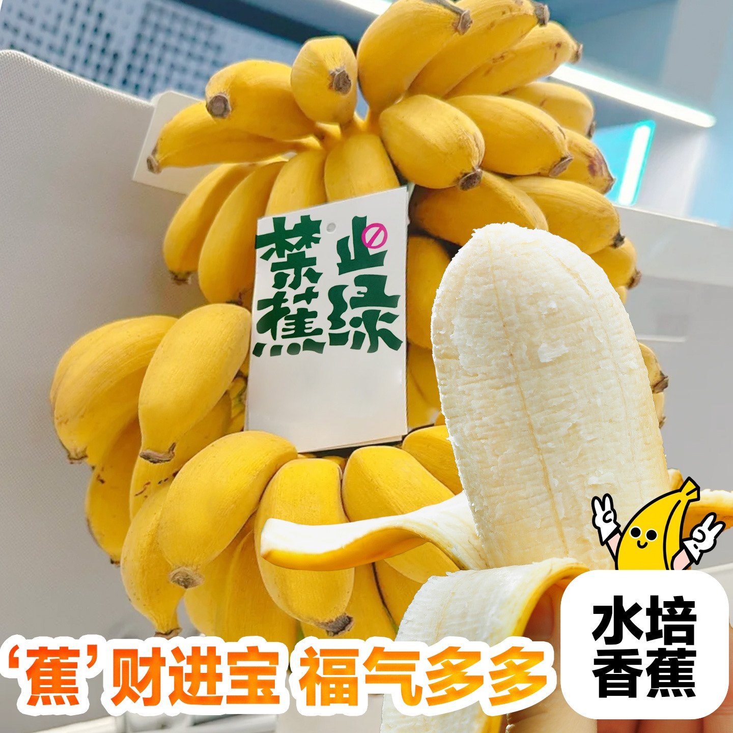 福建苹果香蕉新鲜水果整串禁止蕉绿水培芭蕉小米蕉网红绿植整箱,淘宝优惠券,粉丝福利购,淘宝优惠卷