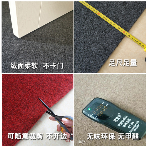 进门地垫门口门垫防滑脚垫家用进户地毯防盗门吸水入户门可裁剪