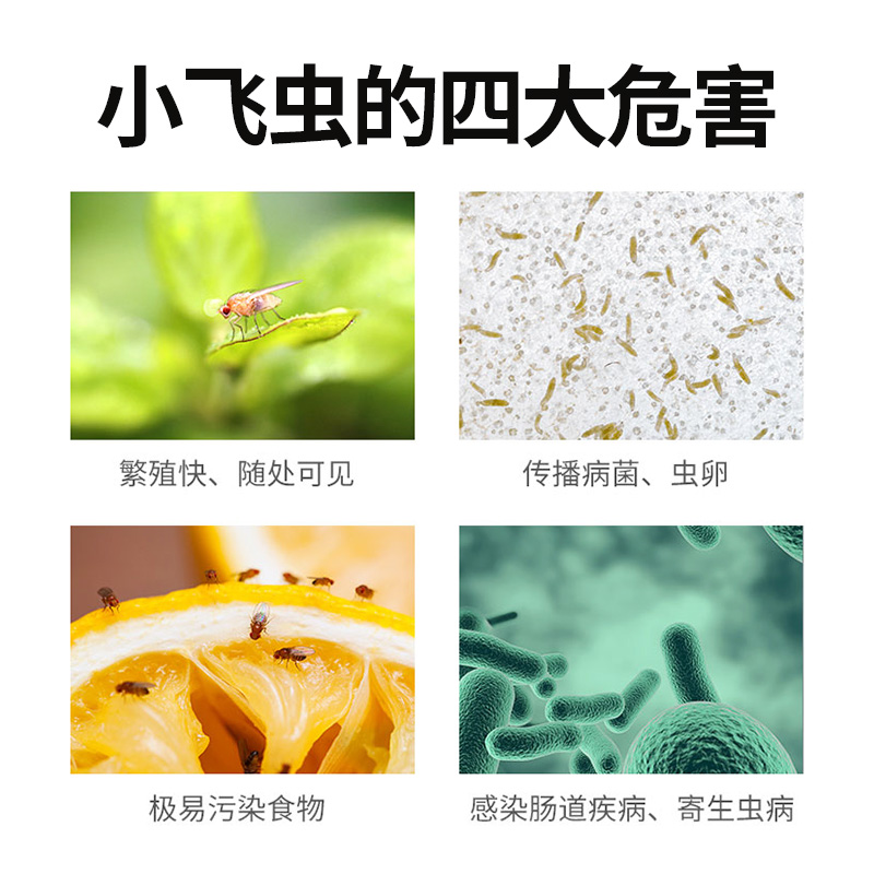 小飞虫灭杀神器捕捉器克星苍蝇药饵剂粘虫蝇板果蝇诱捕器杀虫剂 - 图1