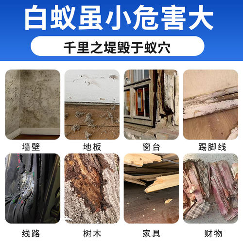 科凌虫控灭杀白蚁药杀虫剂防治专用除驱白蚂蚁药粉传染家用非无毒 - 图2